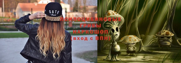 a pvp Беломорск