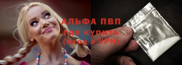 PSILOCYBIN Белокуриха