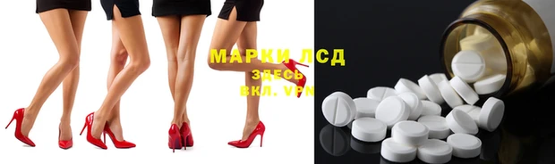 PSILOCYBIN Белокуриха
