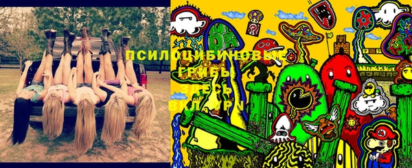 PSILOCYBIN Белокуриха