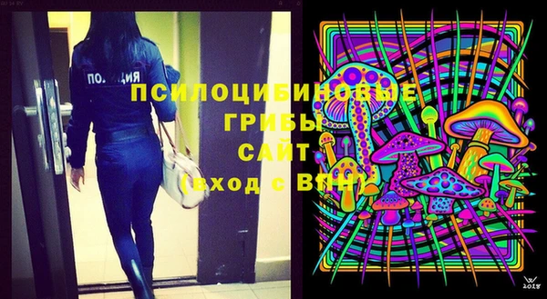 PSILOCYBIN Белокуриха