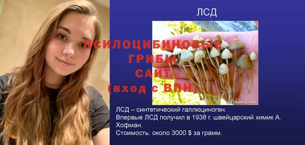 a pvp Беломорск